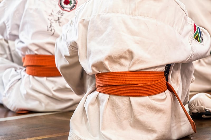 Kung Fu Image