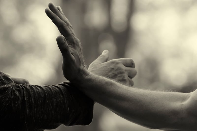 Sun Style Tai Chi Meditation